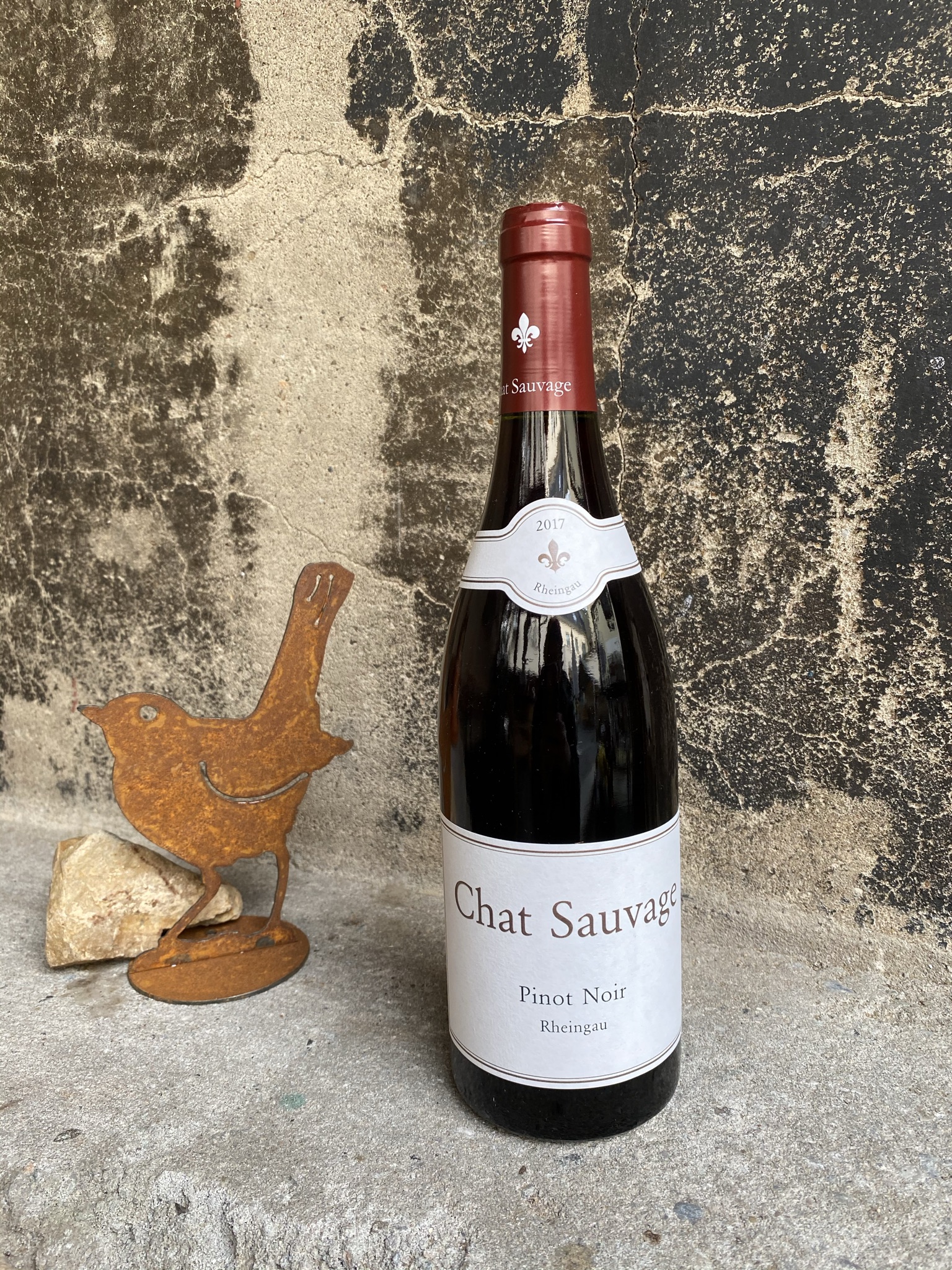 Chat Sauvage Pinot Noir 1 Chat Sauvage Pinot Noir