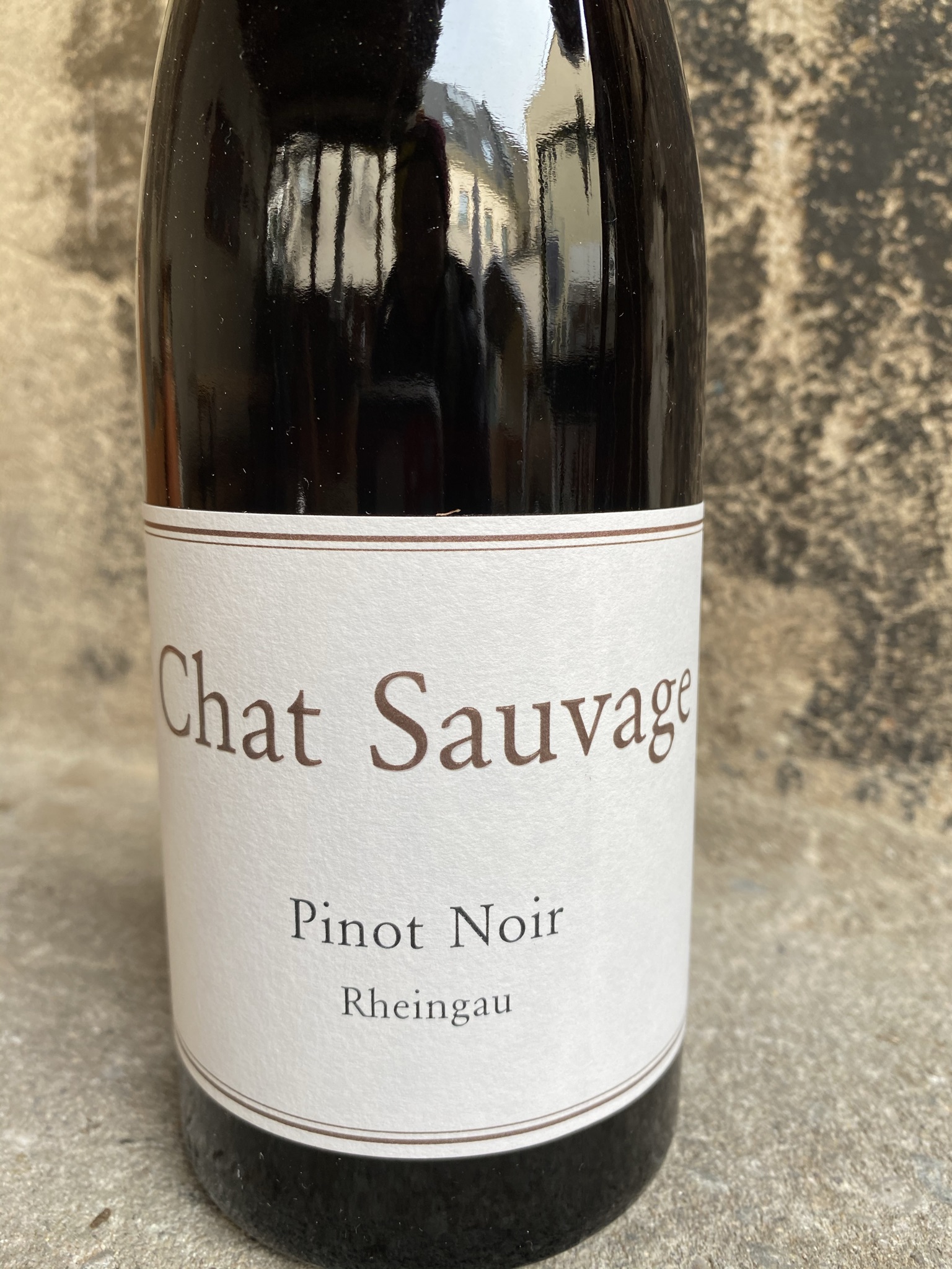 Chat Sauvage Pinot Noir 2 Chat Sauvage Pinot Noir