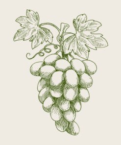 Wein, Sekt & Spirituosen